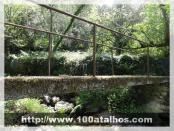 Click na foto para ampliar!