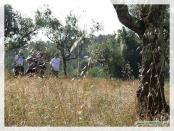 Click na foto para ampliar!