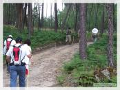 Click na foto para ampliar!