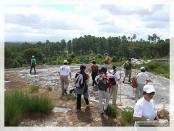 Click na foto para ampliar!