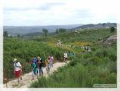 Click na foto para ampliar!