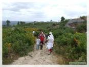 Click na foto para ampliar!