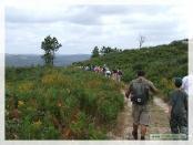 Click na foto para ampliar!