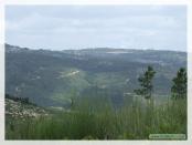 Click na foto para ampliar!