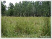 Click na foto para ampliar!