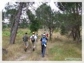 Click na foto para ampliar!