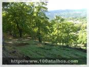 Click na foto para ampliar!