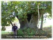 Click na foto para ampliar!