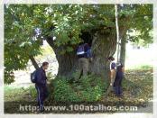 Click na foto para ampliar!