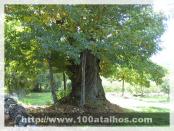 Click na foto para ampliar!