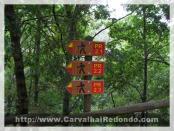 Click na foto para ampliar!