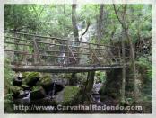 Click na foto para ampliar!