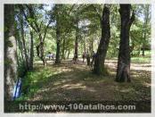 Click na foto para ampliar!