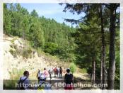 Click na foto para ampliar!