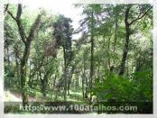 Click na foto para ampliar!