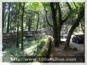 Click na foto para ampliar!