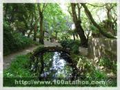 Click na foto para ampliar!