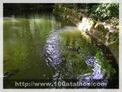 Click na foto para ampliar!