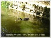 Click na foto para ampliar!