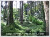 Click na foto para ampliar!