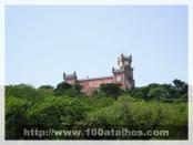 Click na foto para ampliar!