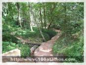 Click na foto para ampliar!