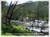 Click na foto para ampliar!