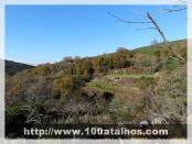 Click na foto para ampliar!