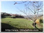 Click na foto para ampliar!