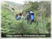 Click na foto para ampliar!