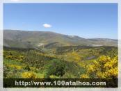 Click na foto para ampliar!