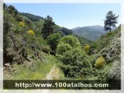 Click na foto para ampliar!