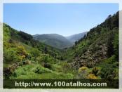 Click na foto para ampliar!