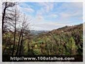 Click na foto para ampliar!