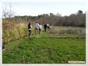 Click na foto para ampliar!